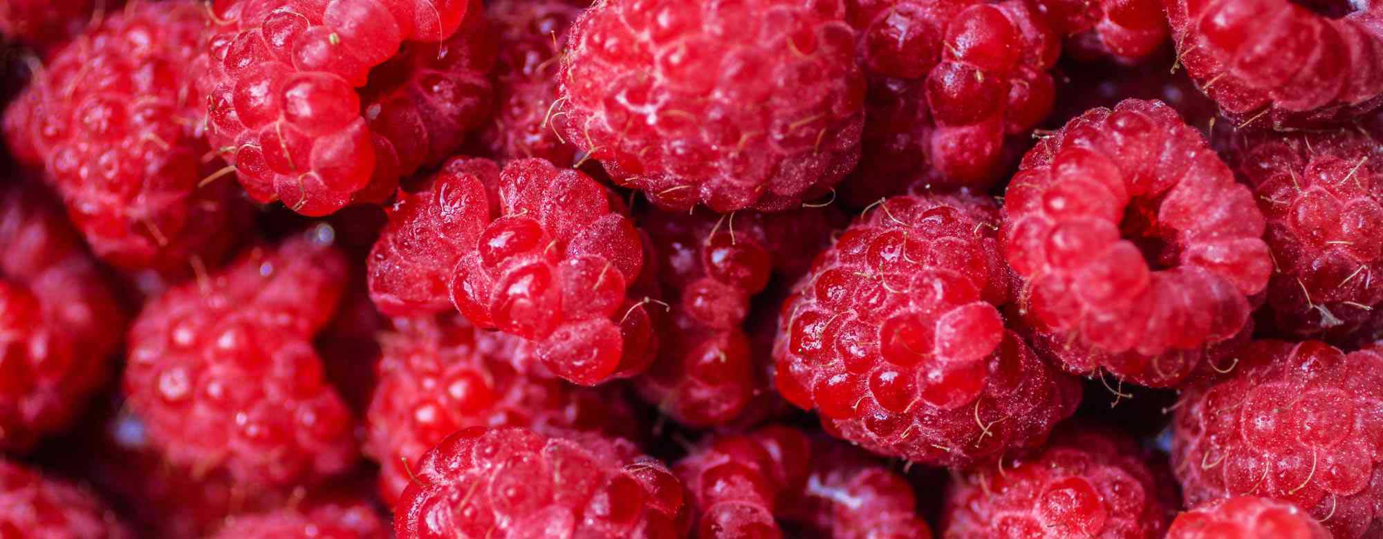 Raspberries in PetWell CALM dog supplements for Anxious dogs and cats